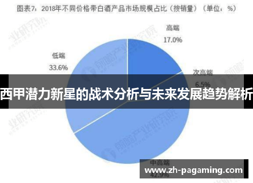 西甲潜力新星的战术分析与未来发展趋势解析