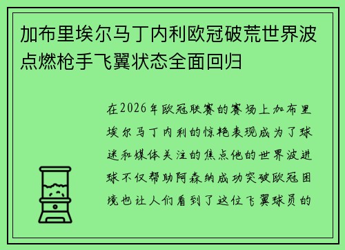 加布里埃尔马丁内利欧冠破荒世界波点燃枪手飞翼状态全面回归